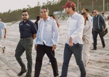 Arranca temporada de la tortuga lora en playa Tepehuajes