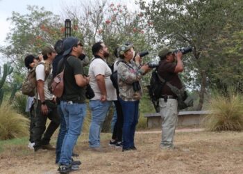 Reúne TAMUX a familias y estudiantes en experiencia de avistamiento de aves