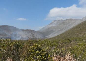 Inician labores de combate en incendio forestal en el ejido Joya de Herrera, Bustamante