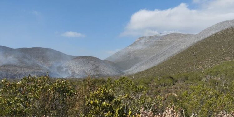 Inician labores de combate en incendio forestal en el ejido Joya de Herrera, Bustamante