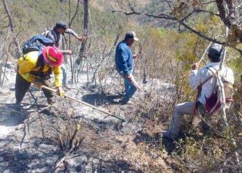 Reporta gobierno de Tamaulipas avance del 90% en control de incendio forestal en Jaumave