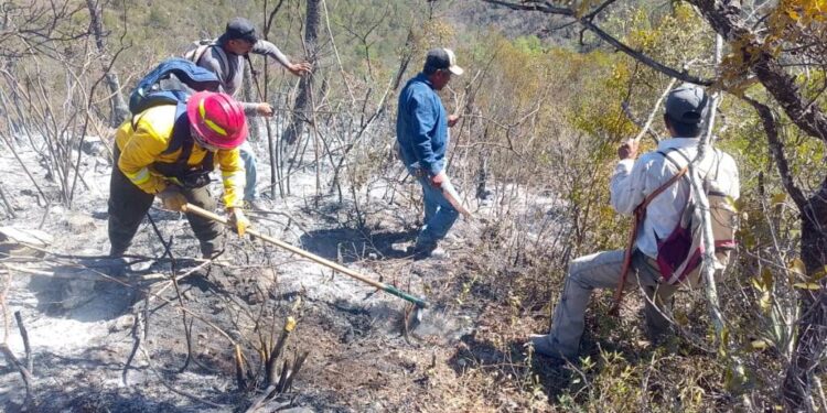 Reporta gobierno de Tamaulipas avance del 90% en control de incendio forestal en Jaumave