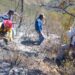 Reporta gobierno de Tamaulipas avance del 90% en control de incendio forestal en Jaumave