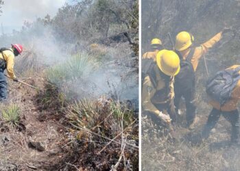 Continúan labores para el control y liquidación de incendio forestal en el Cerro El Tepozán