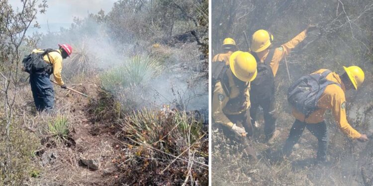 Continúan labores para el control y liquidación de incendio forestal en el Cerro El Tepozán