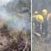Continúan labores para el control y liquidación de incendio forestal en el Cerro El Tepozán