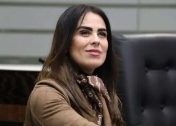 Carreteras de Tamaulipas, aún inseguras: diputada