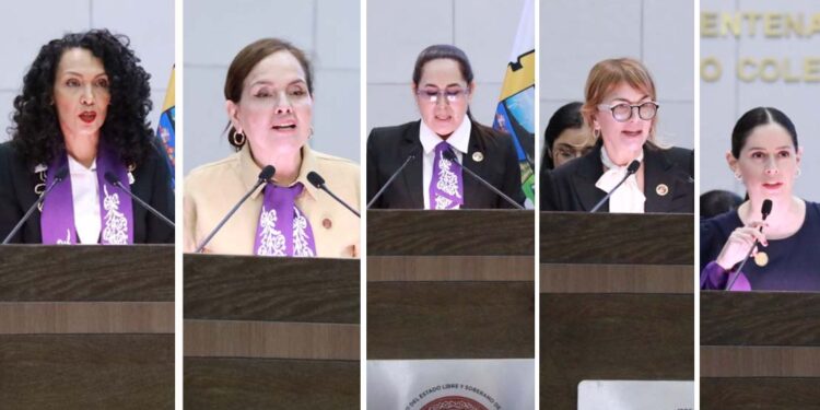 ‎Diputadas unidas, sin colores en el 8M