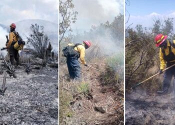 Tamaulipas logra la liquidación total del incendio forestal en Bustamante