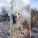 Tamaulipas logra la liquidación total del incendio forestal en Bustamante