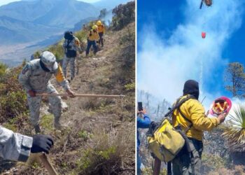 Incendio forestal “Puerto del Volcán”, en Miquihuana es liquidado al 100%