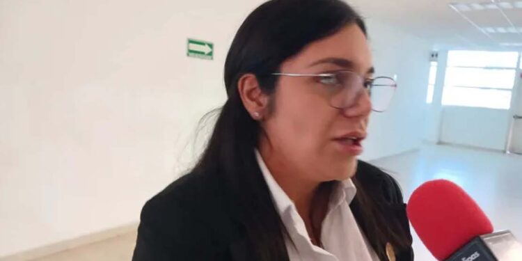 Morena define bases para consejos municipales