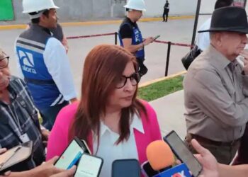 Tendrá que esperar reforestación tras incendio en Miquihuana