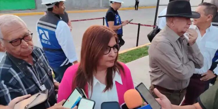 Tendrá que esperar reforestación tras incendio en Miquihuana