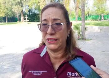 Conformará Morena consejos municipales “colectivos”