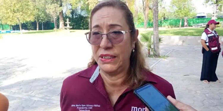Conformará Morena consejos municipales “colectivos”