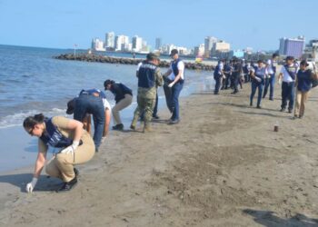 Grupo Interinstitucional despliega más de 2 mil 400 elementos coordinados para atender la presencia de hidrocarburos en costas de Veracruz y Tabasco