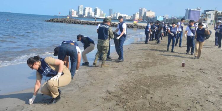 Grupo Interinstitucional despliega más de 2 mil 400 elementos coordinados para atender la presencia de hidrocarburos en costas de Veracruz y Tabasco