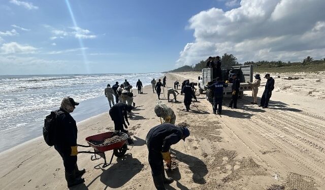 Grupo Interinstitucional despliega más de 2 mil 400 elementos coordinados para atender la presencia de hidrocarburos en costas de Veracruz y Tabasco