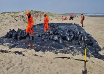 Apoya Pemex labores de limpieza en playas del sur de Veracruz en coordinación con comunidades locales