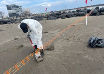 Grupo Interinstitucional actualiza avances y refuerza acciones integrales ante presencia de hidrocarburos en costas del Golfo de México