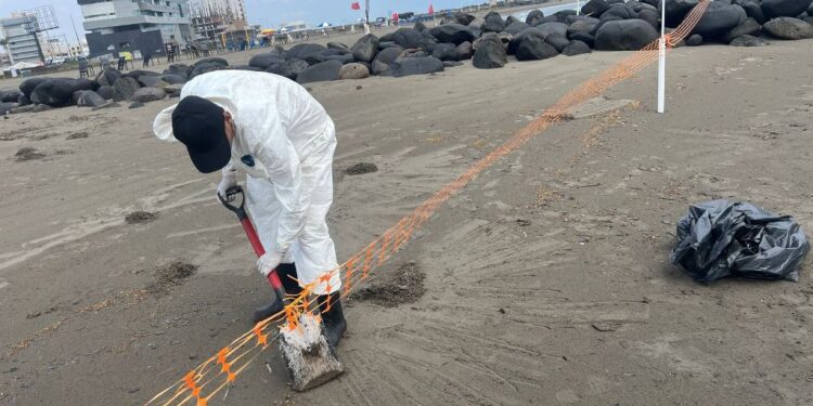 Grupo Interinstitucional actualiza avances y refuerza acciones integrales ante presencia de hidrocarburos en costas del Golfo de México
