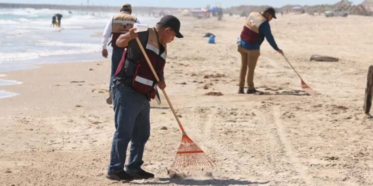 Playas sin riesgos, manchas de hidrocarburo son pequeñas