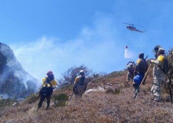 Controlado incendio forestal “Puerto del Volcán” en Miquihuana
