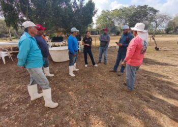 Impulsan desarrollo de granjas de ostión en Aldama y San Fernando