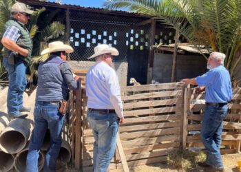 Destaca Tamaulipas con genética caprina de alto nivel en festival nacional