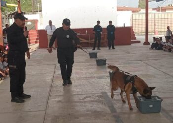Acerca Guardia Estatal a “Max”, perro especializado, a comunidad escolar