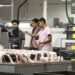 Gobierno del Estado y STPS activan atención inmediata ante situación laboral en empresa TRICO Componentes