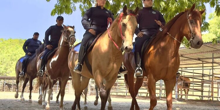 Con más de 5 mil guardianes, Tamaulipas seguro te espera