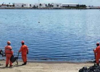En alerta SEDUMA ante llegada de hidrocarburos a playas tamaulipecas