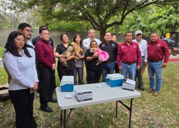 Aplicará Salud 345 mil dosis en campaña de vacunación antirrábica