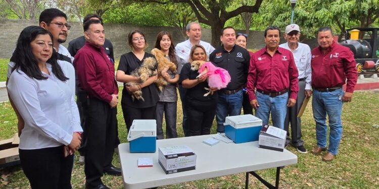 Aplicará Salud 345 mil dosis en campaña de vacunación antirrábica