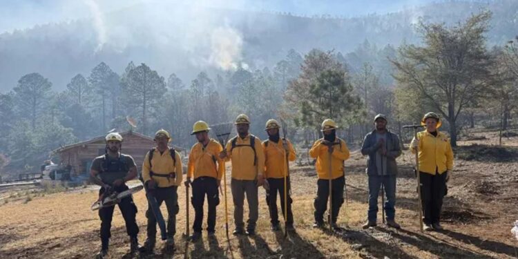 Seduma envia brigadas de apoyo para combate de incendio en Miquihuana