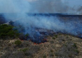 Guardia Estatal atiende incendio en Jiménez