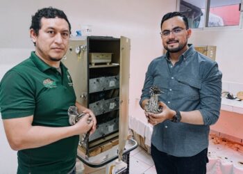 Nacen ejemplares de emú en el Zoológico Tamatán