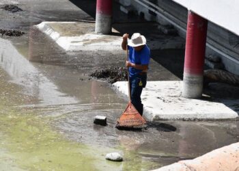 Recibe Zoológico Tamatán a familias con espacios renovados