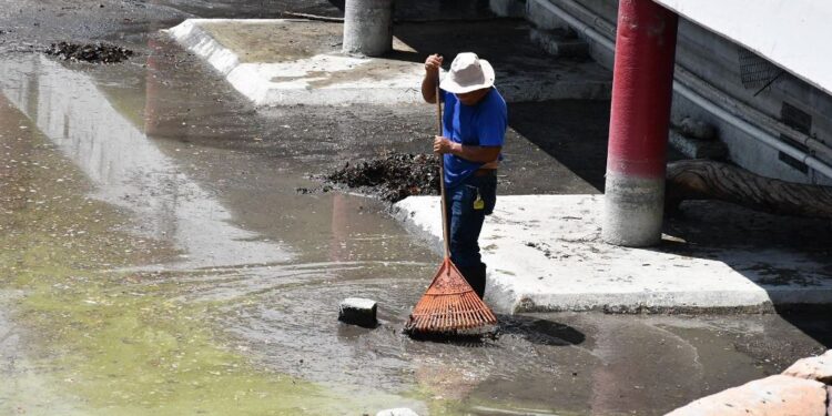 Recibe Zoológico Tamatán a familias con espacios renovados
