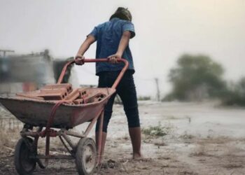 Niños no deben trabajar: Illoldi