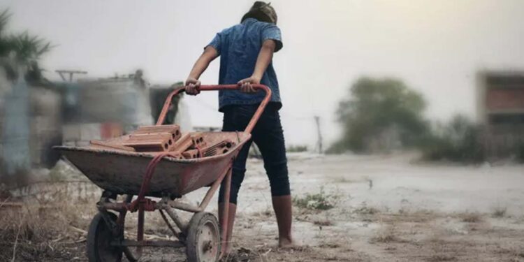 Niños no deben trabajar: Illoldi