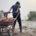 Niños no deben trabajar: Illoldi