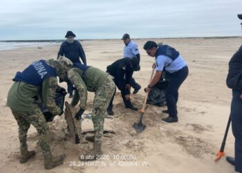 Grupo Interinstitucional mantiene acciones para la contención de hidrocarburo en costas del estado de Tamaulipas