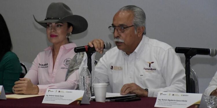 Consolida sesión del consejo estatal estrategias para el desarrollo rural sustentable