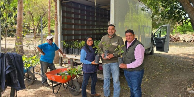 Avanza Nuevo Laredo hacia un entorno más verde y sustentable