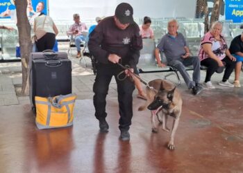 Fortalece Guardia Estatal vigilancia en central de autobuses