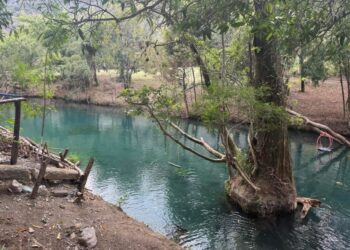 Gómez Farías, refugio natural en Tamaulipas