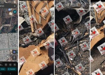 Siguen apareciendo restos humanos cerca de Puerta Sur